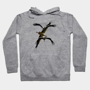 Stork Aerodynamics - Flying Poses Vector Art Hoodie